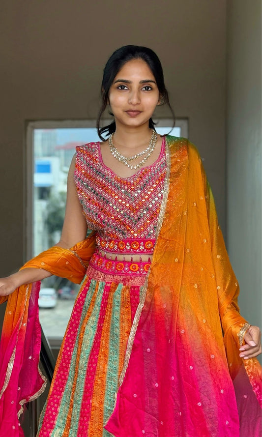 Pink Multi-Colour pleated Lehenga Set